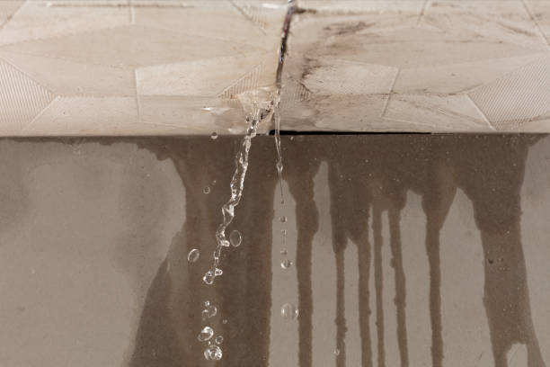Professional Structural Drying technician working in Franklin, OH